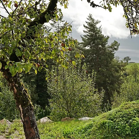 Apartament Am Ehrenbach *